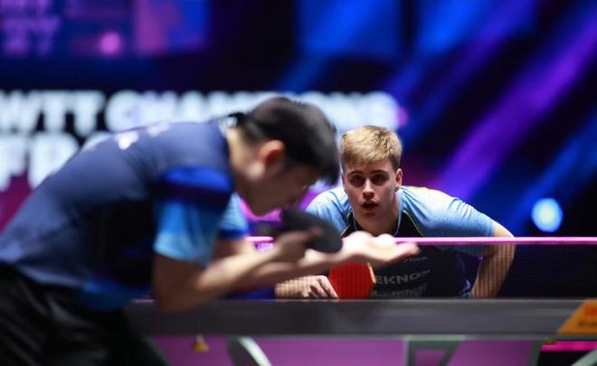 马卡蕾娜的 马卡蕾娜的